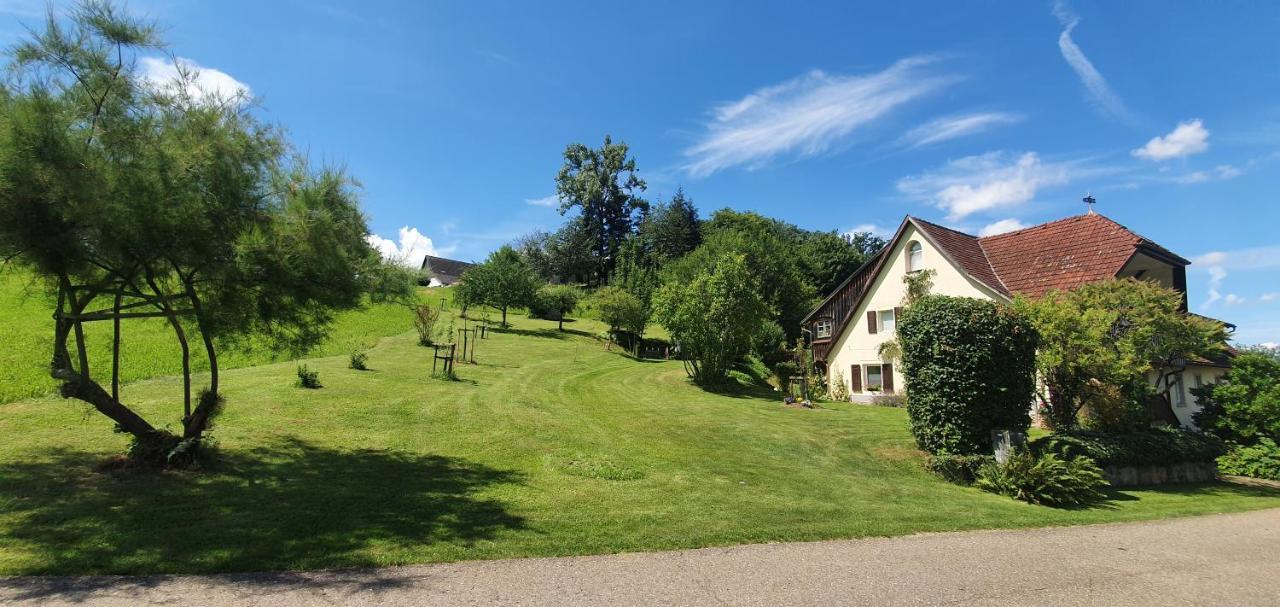 Ferienwohnung Paradies 2 Castellberg-Jakobsweg Döttingen Exterior foto