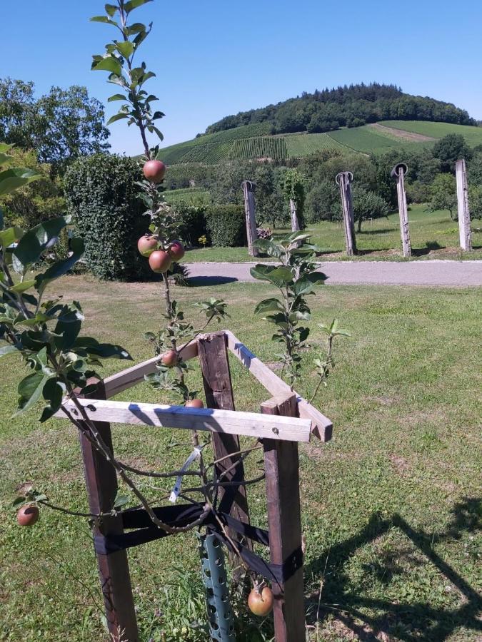 Ferienwohnung Paradies 2 Castellberg-Jakobsweg Döttingen Exterior foto