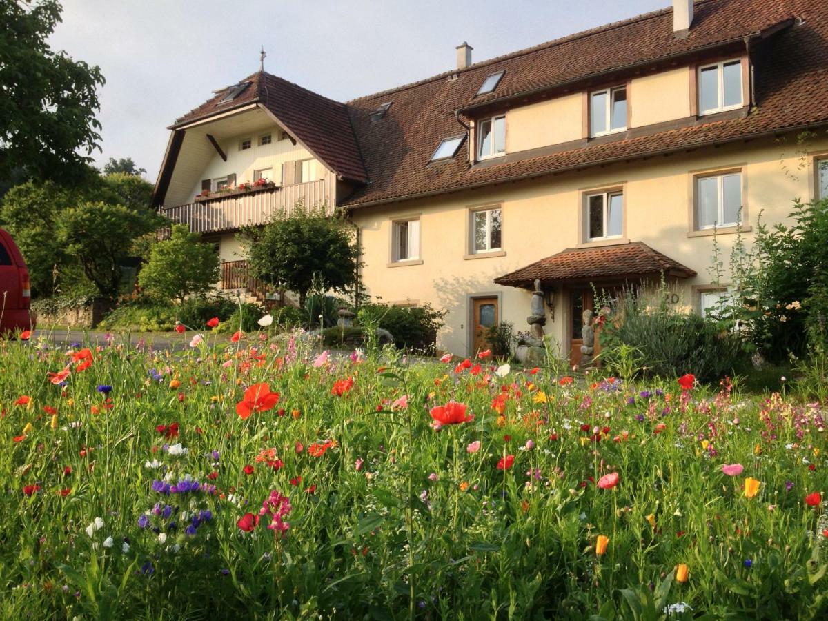 Ferienwohnung Paradies 2 Castellberg-Jakobsweg Döttingen Exterior foto